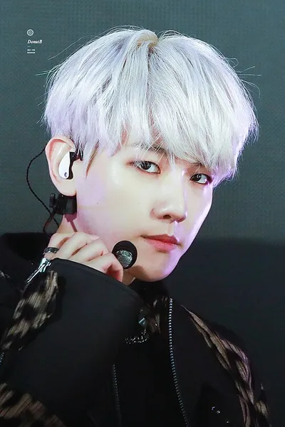 Portrait of Byun Baek-hyun