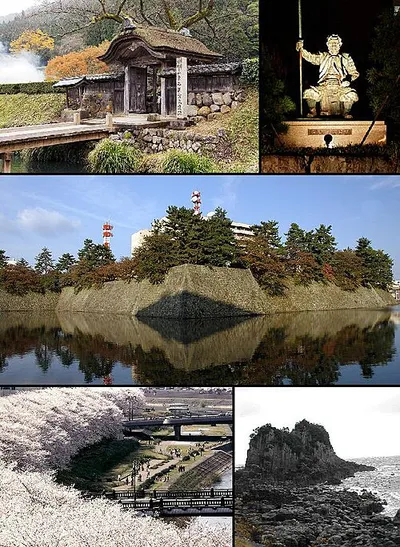 Portrait of Fukui