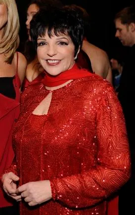 Portrait of Liza Minnelli