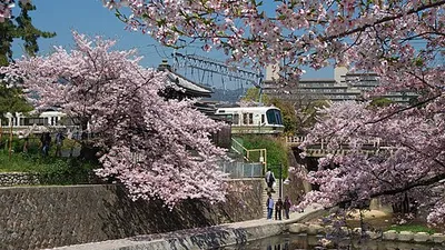 Portrait of Nishinomiya