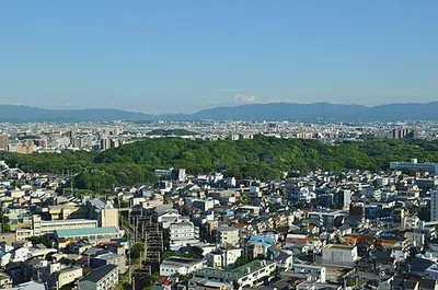 Portrait of Sakai