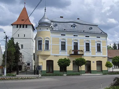 Portrait of Salonta