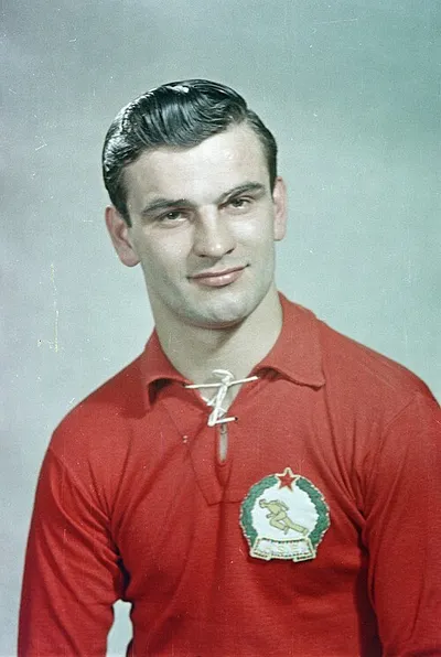 Portrait of Sándor Kocsis