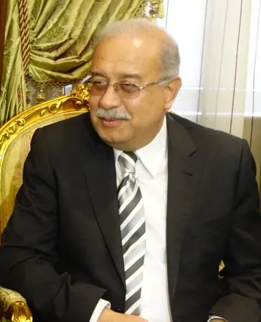 Portrait of Sherif Ismail