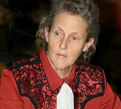 Portrait of Temple Grandin