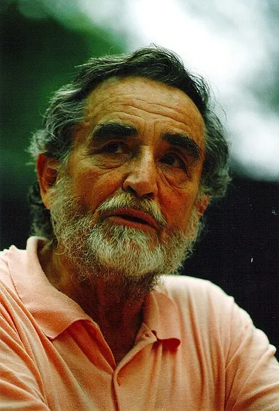 Portrait of Vittorio Gassman