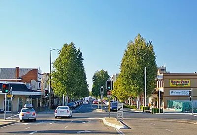 Portrait of Wagga Wagga