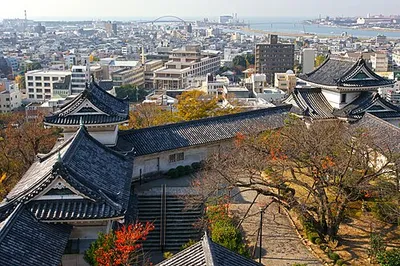 Portrait of Wakayama